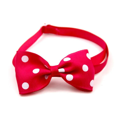 Holiday Bow Collar