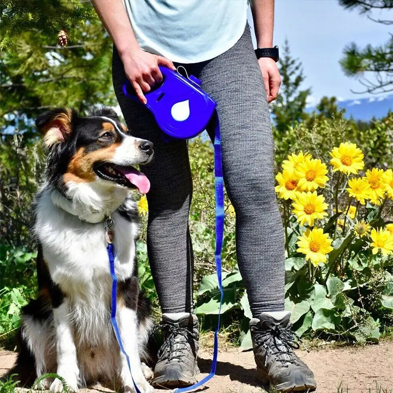 PawGear Leash Set