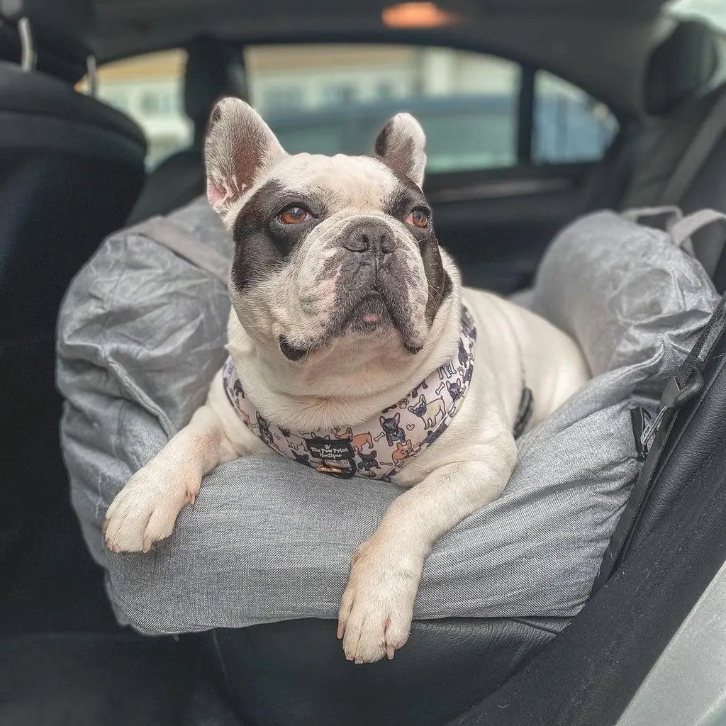PawJourney Bed