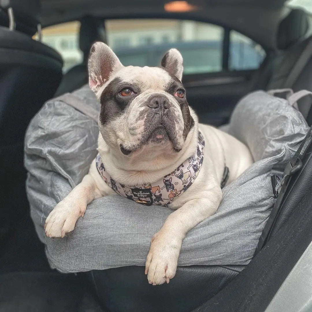 PawJourney Bed