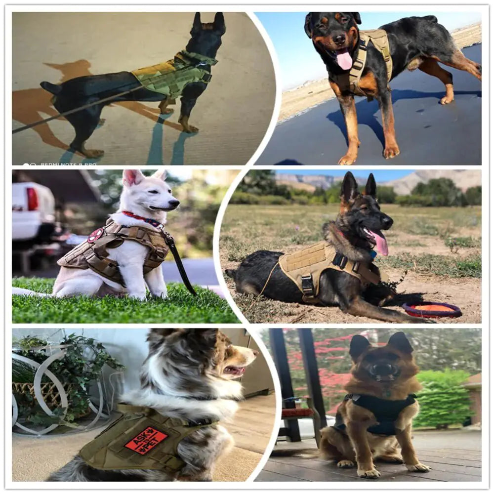 Tactical Dog Harness