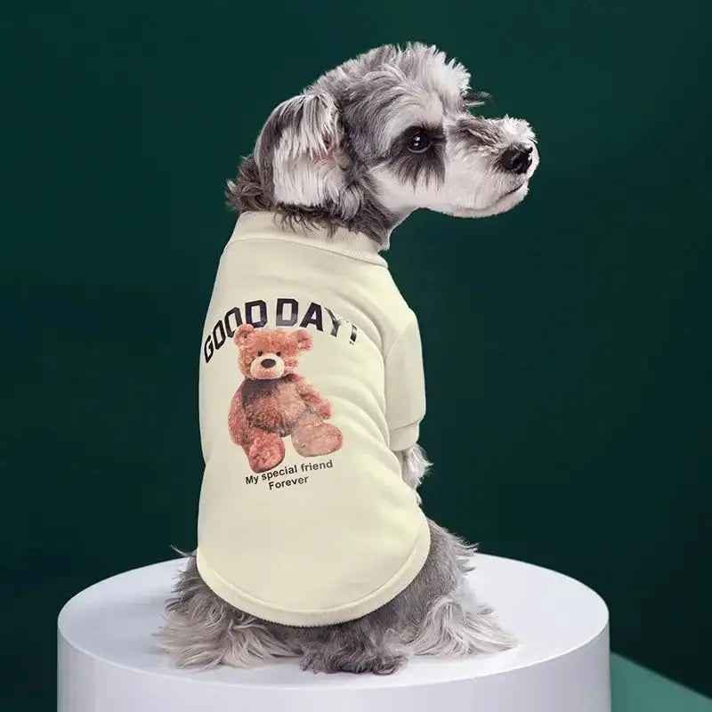 The Gentle Bear Pullover