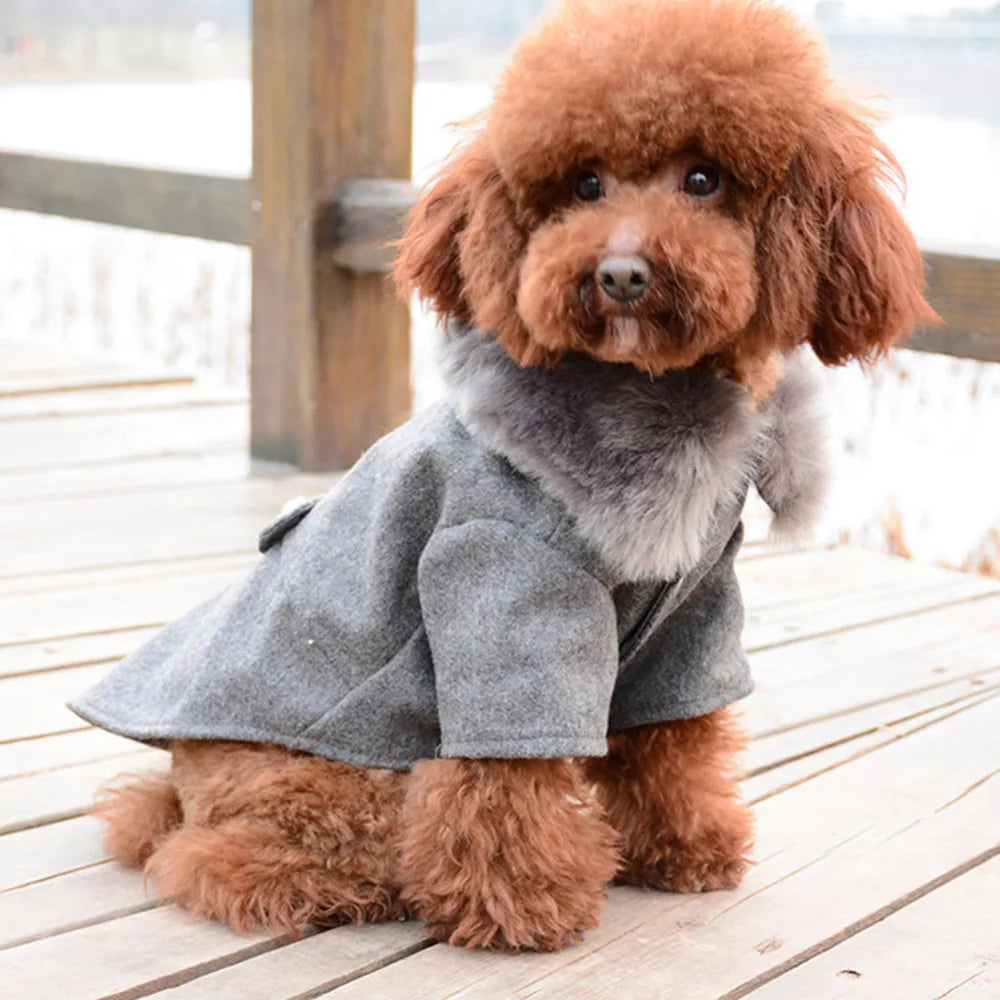 Pawluxe Winter Wrap