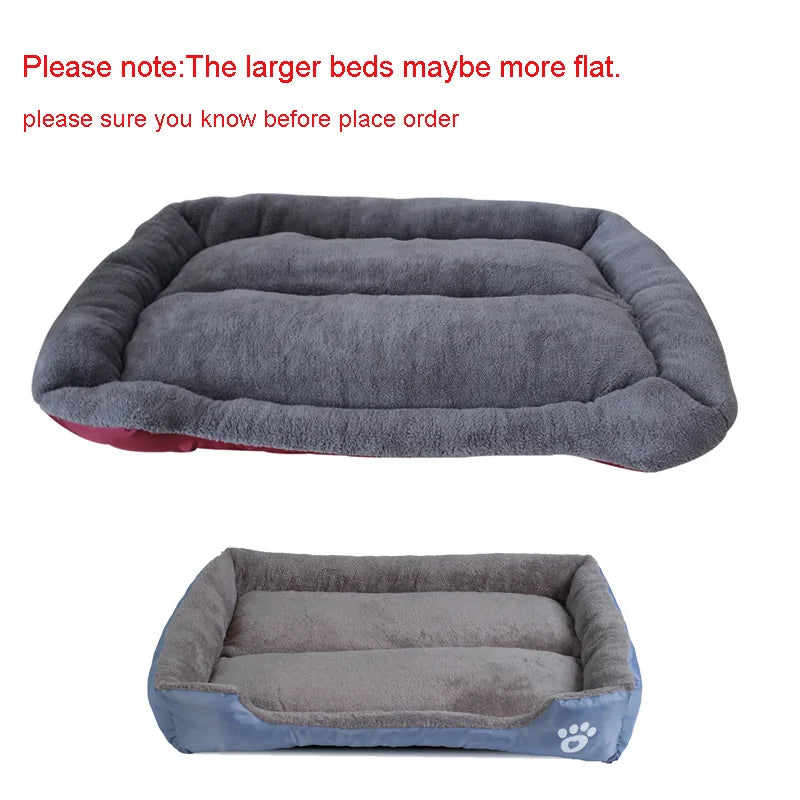 PawLounge