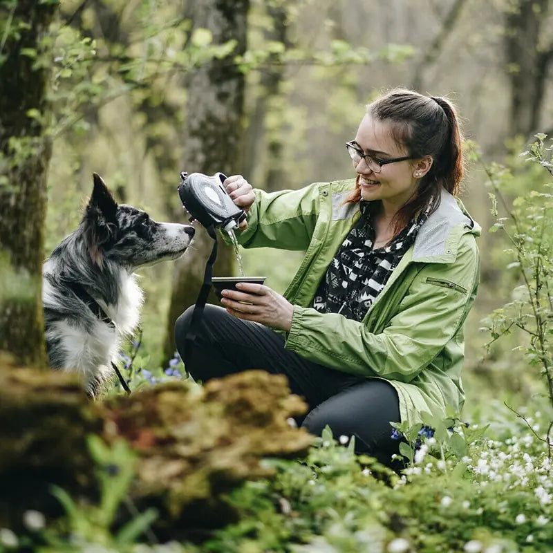 PawGear Leash Set