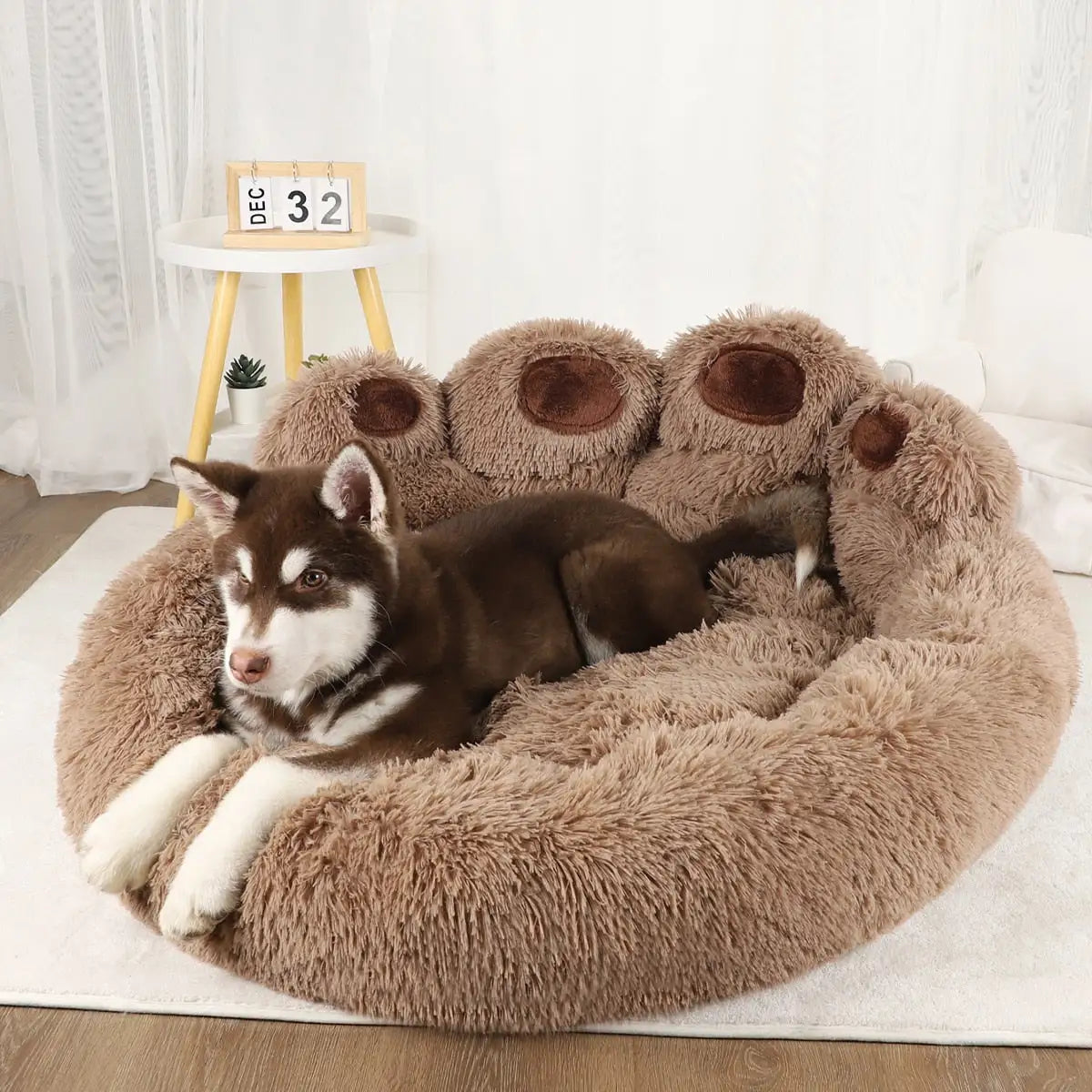 SofaPaw Bed