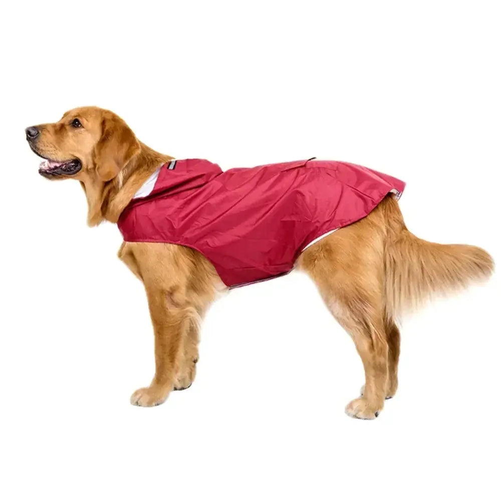 Dog Raincoat