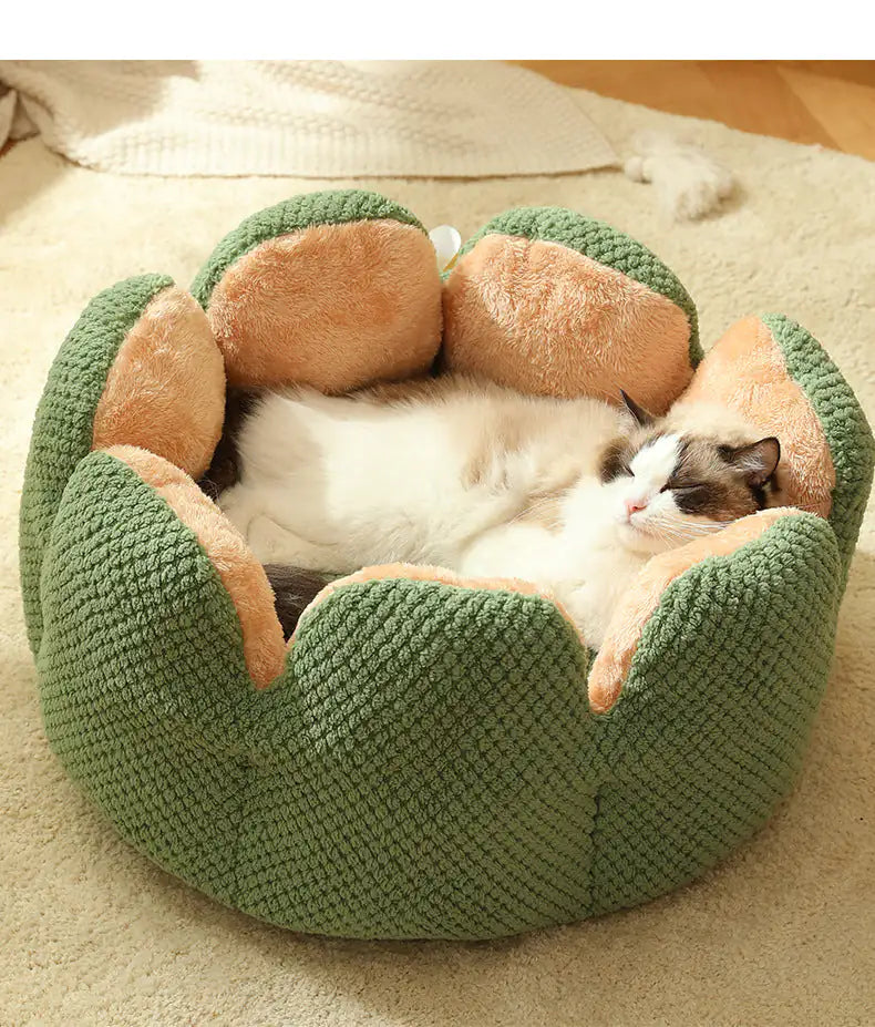 Pawtus Nest