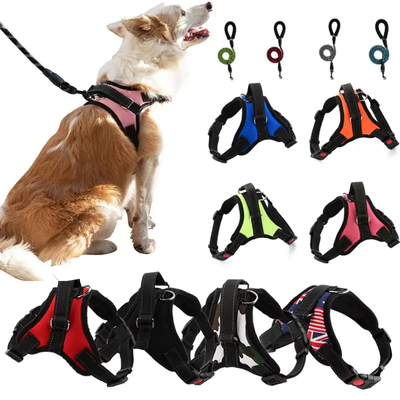 Walking Harness