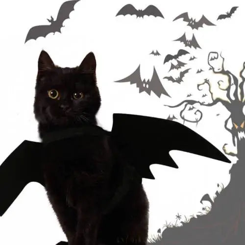Purrfect Bat Wings
