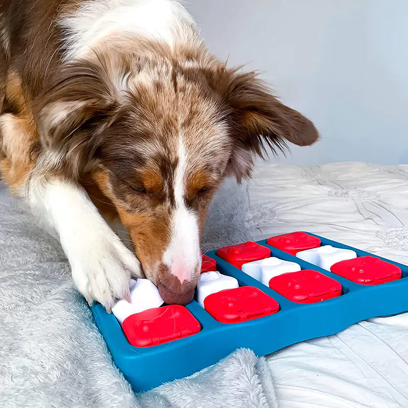 Bark & Seek Box