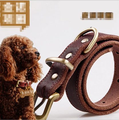 Leather Dog Collar