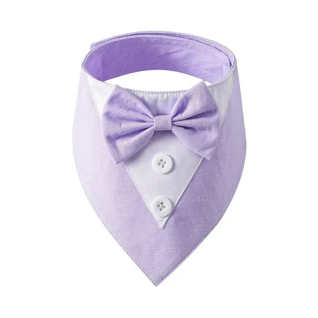 The Gentleman Pup Tie