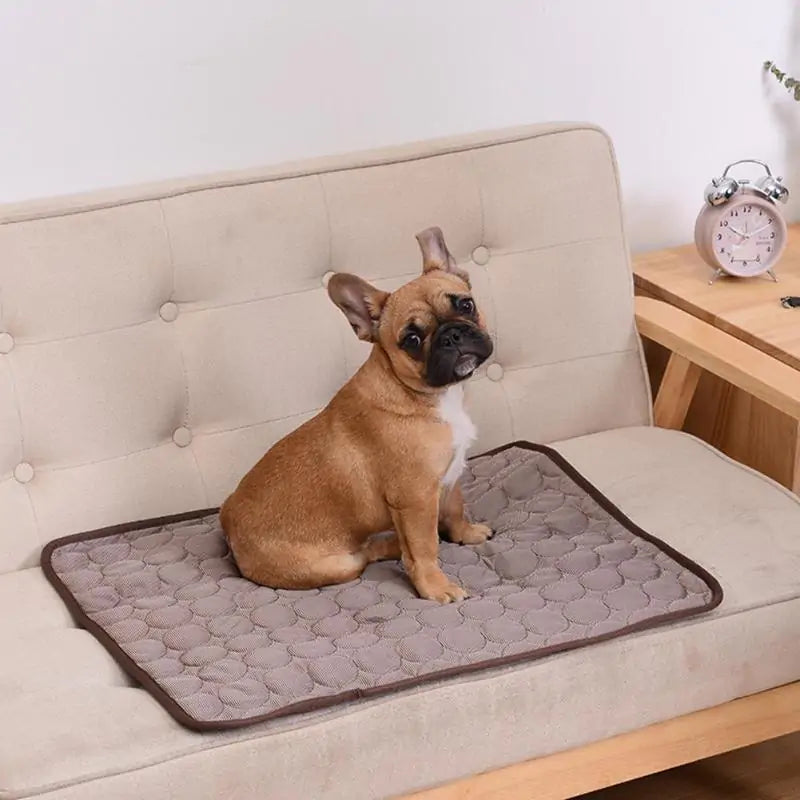 PawBreeze Blanket