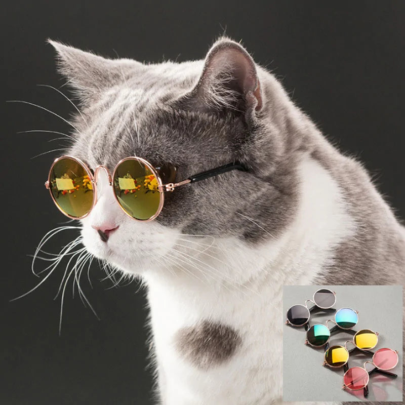 Cat Sunglasses