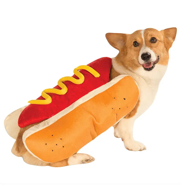The Weenie Wonder Pup Suit
