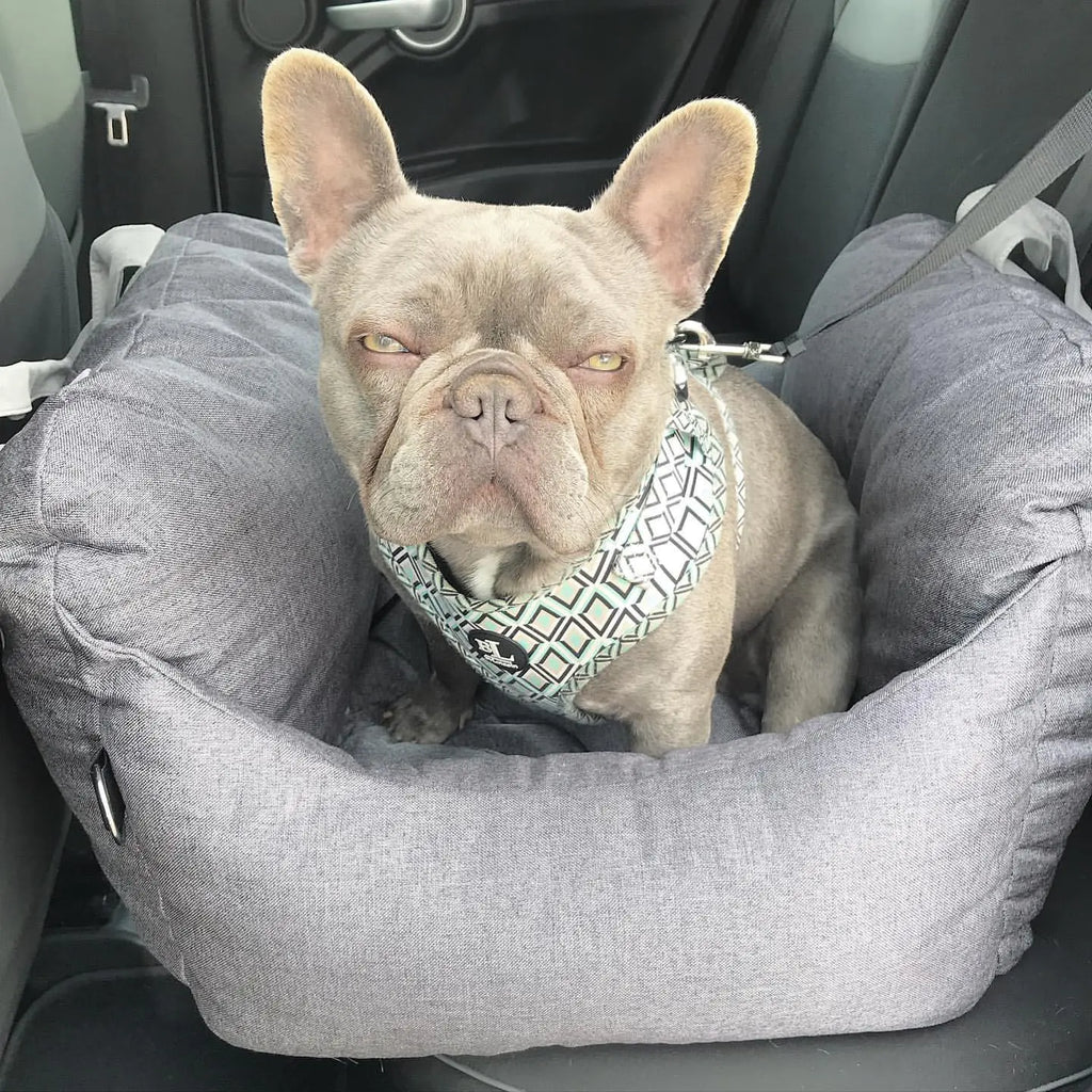 PawJourney Bed