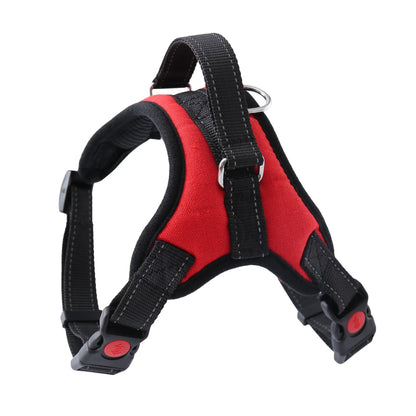 Walking Harness