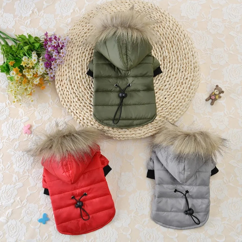 Fashionable Hooded Jacket