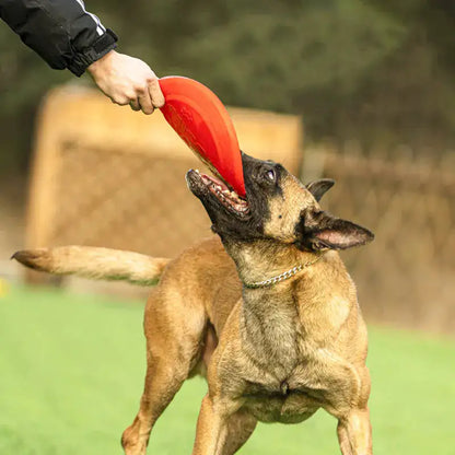 Rubber Frisbee