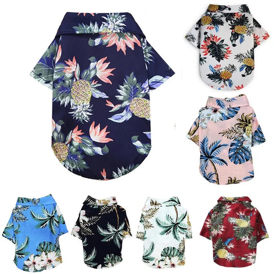 Summer Printed Clothes