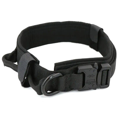 Tactal Collar