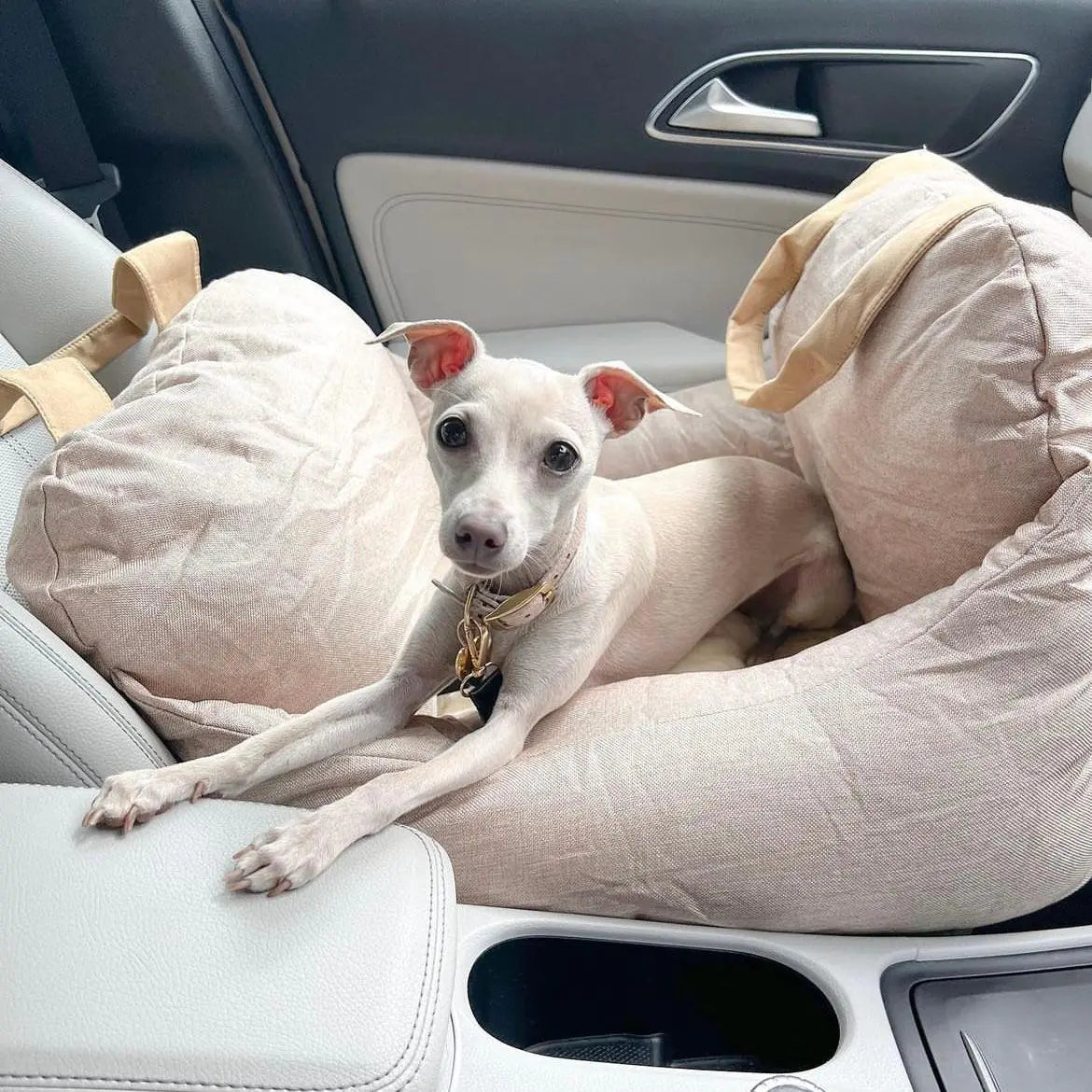 PawJourney Bed