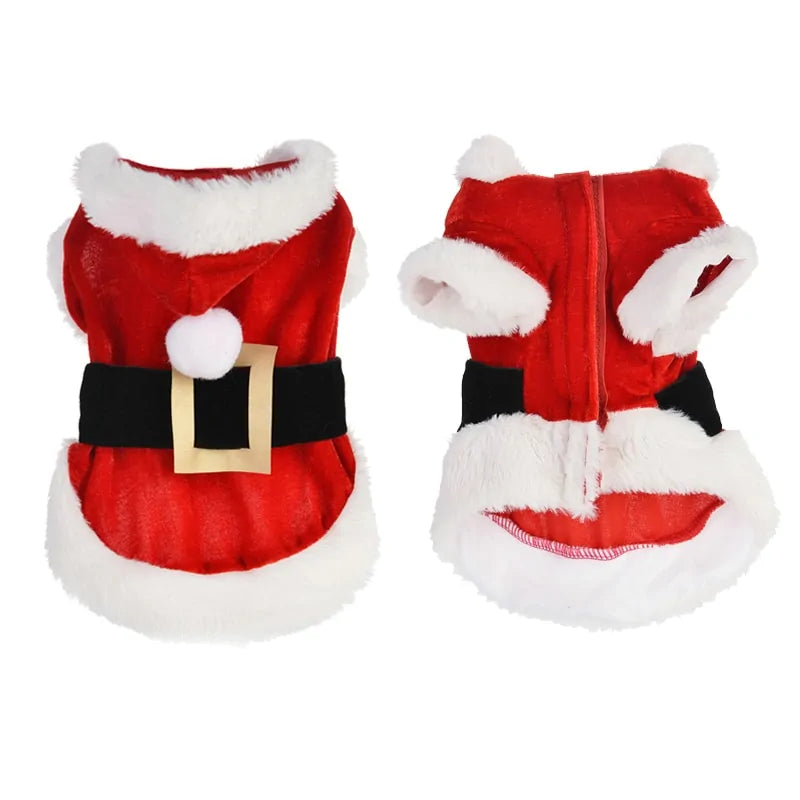 Santa Paws Suit