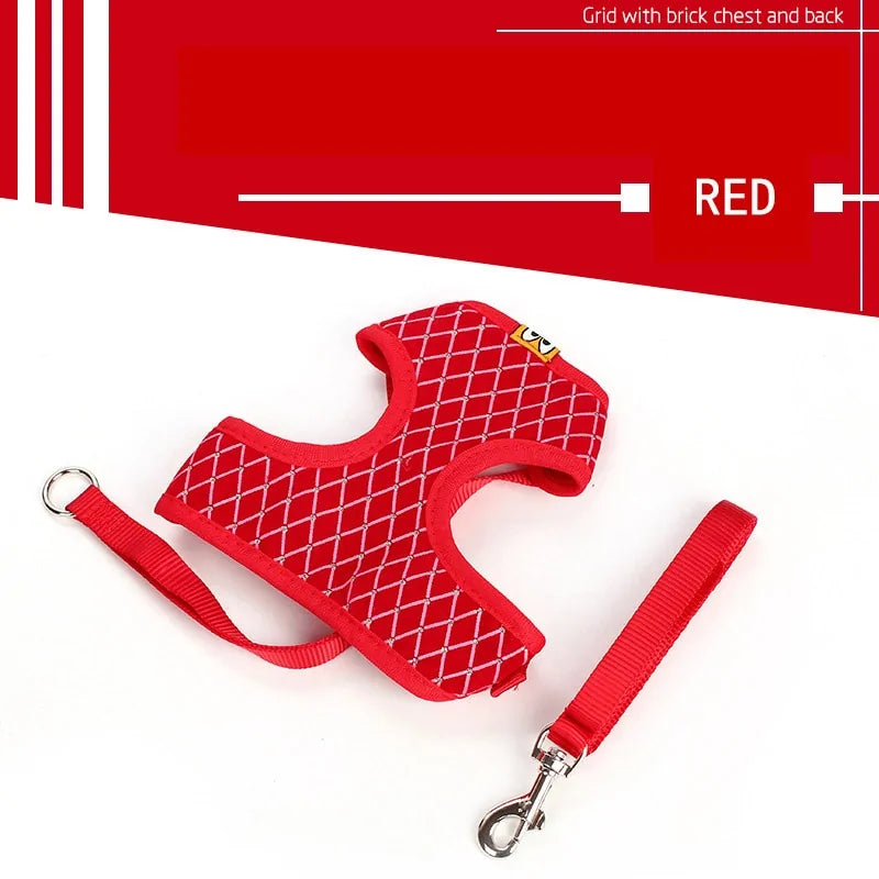 CrystalPup Leash Set