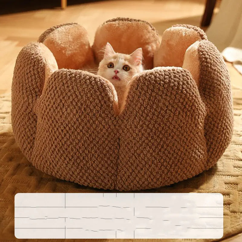 Pawtus Nest
