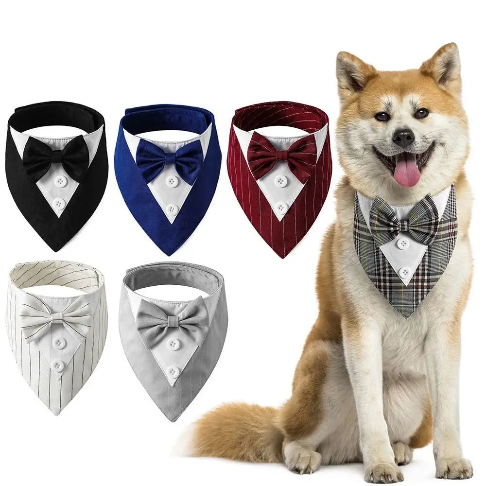 The Gentleman Pup Tie