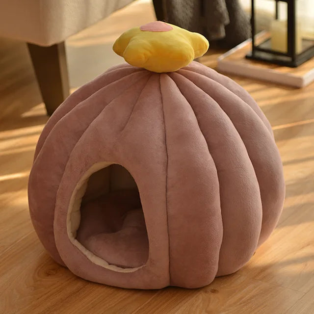 CozyCactus