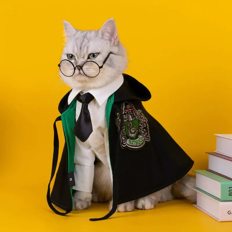 Purrfect Wizard Cloak