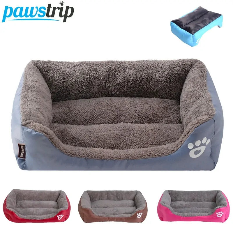 PawLounge
