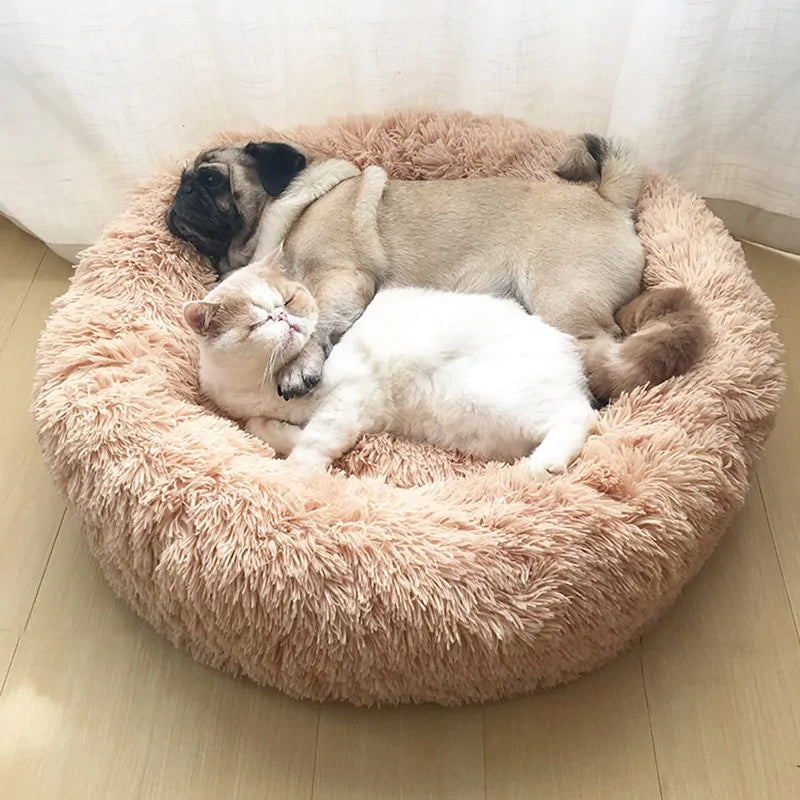 FluffHaven