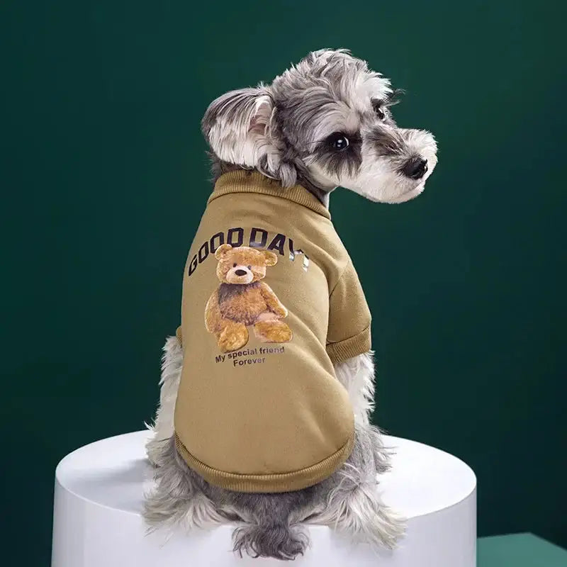 The Gentle Bear Pullover