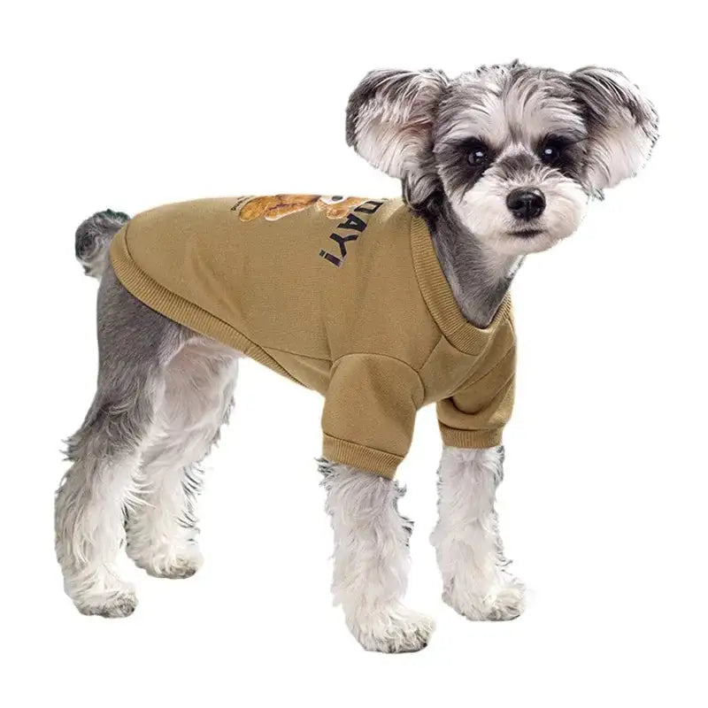 The Gentle Bear Pullover