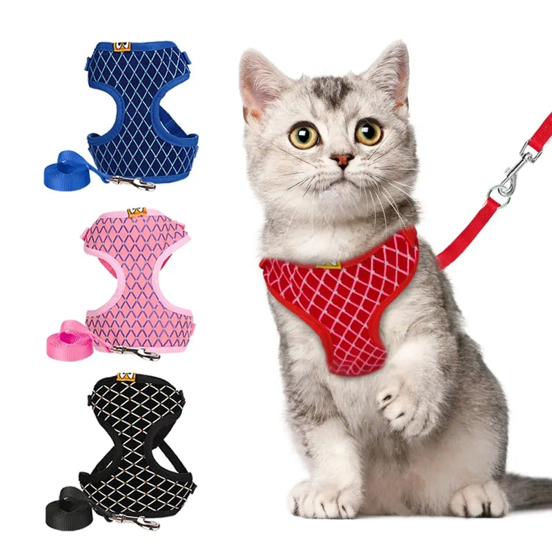 CrystalPup Leash Set