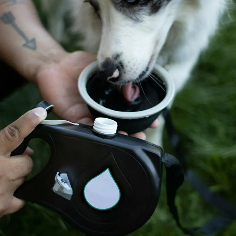 PawGear Leash Set