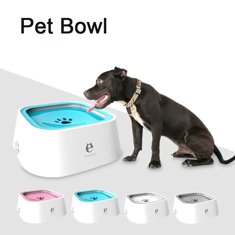AquaPaws Bowl