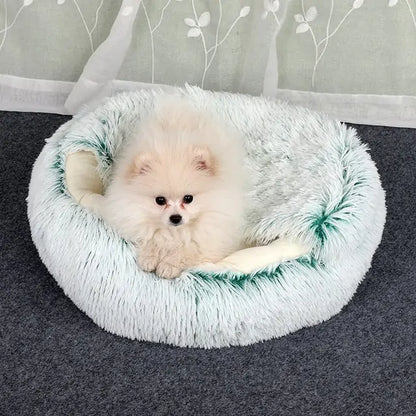 2-in1 Comfy Bed