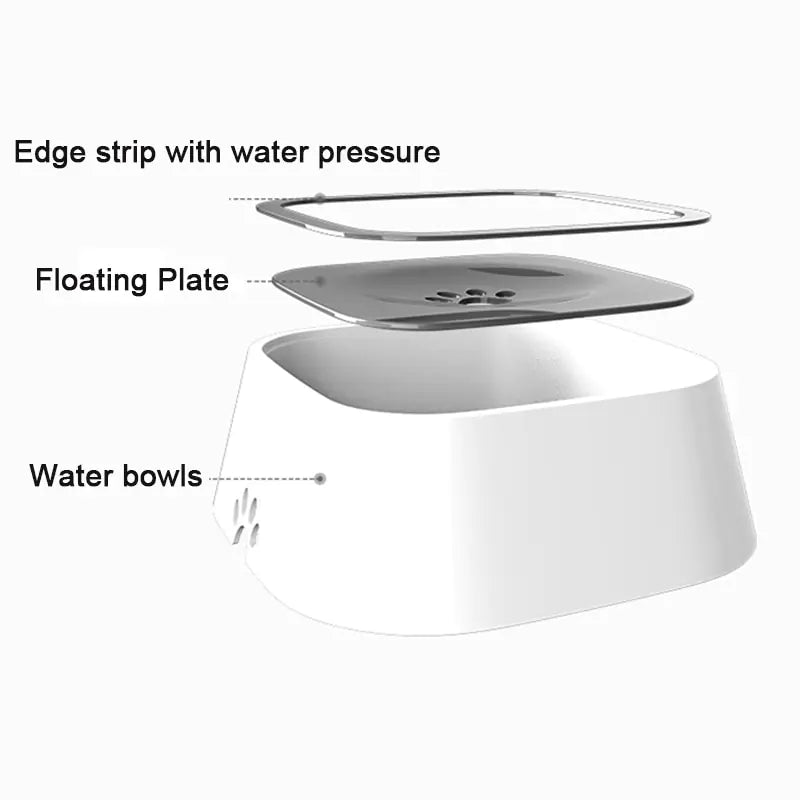 AquaPaws Bowl