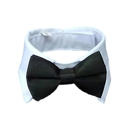 Bow Tie Collar