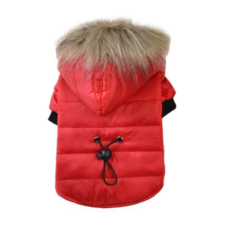 Fetch & Fleece
