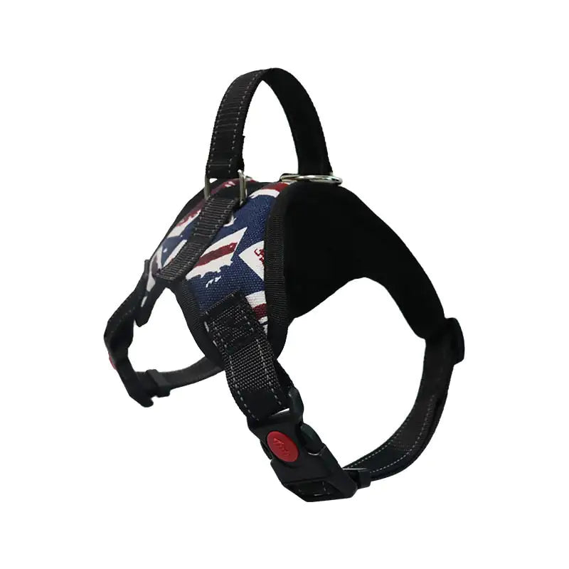 Walking Harness