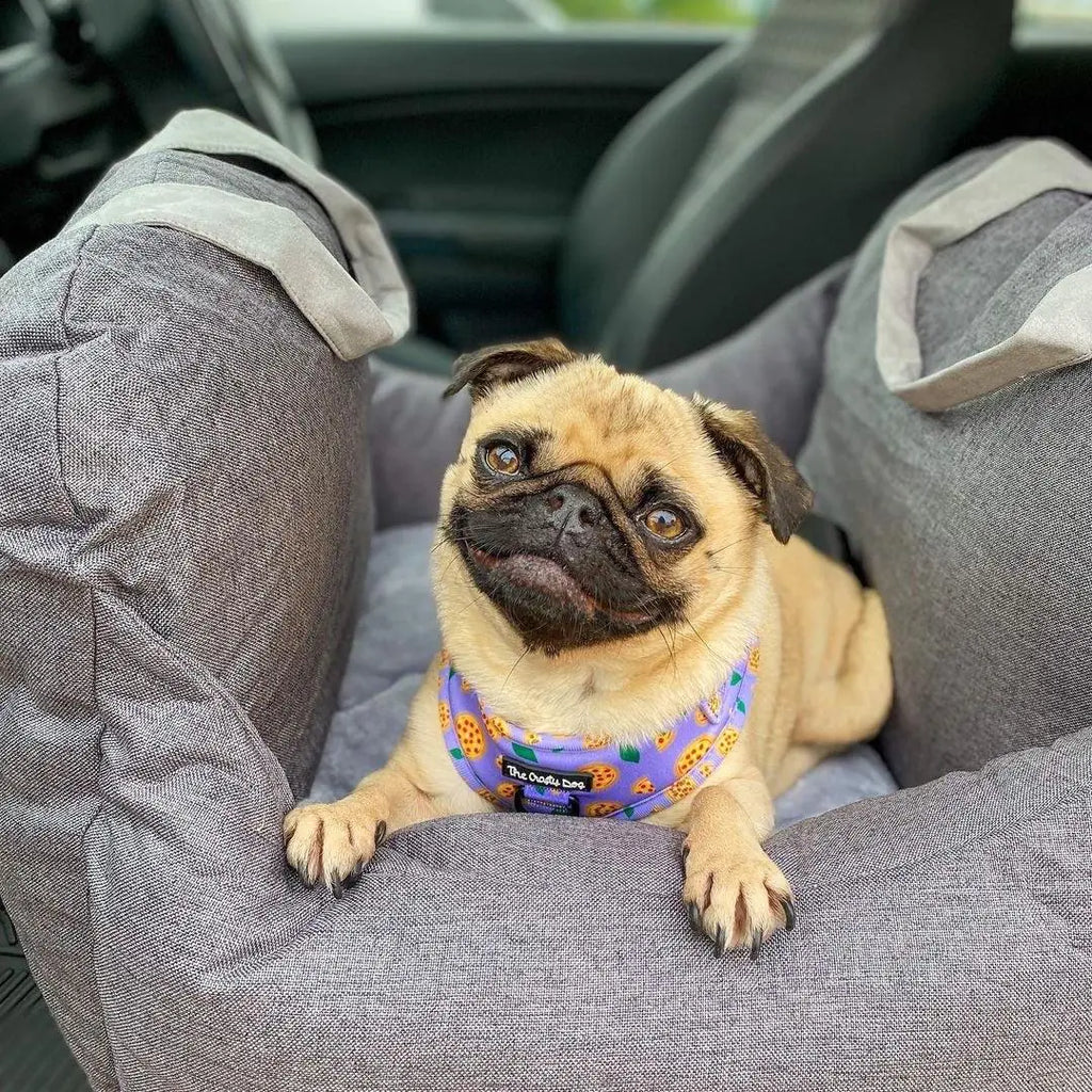 PawJourney Bed