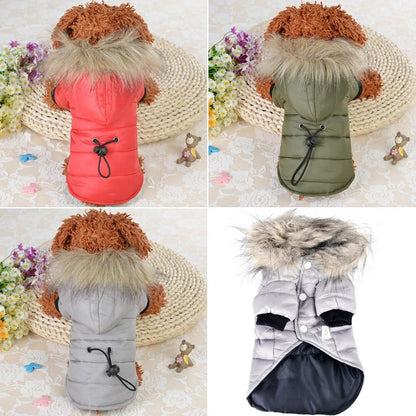 Fashionable Hooded Jacket