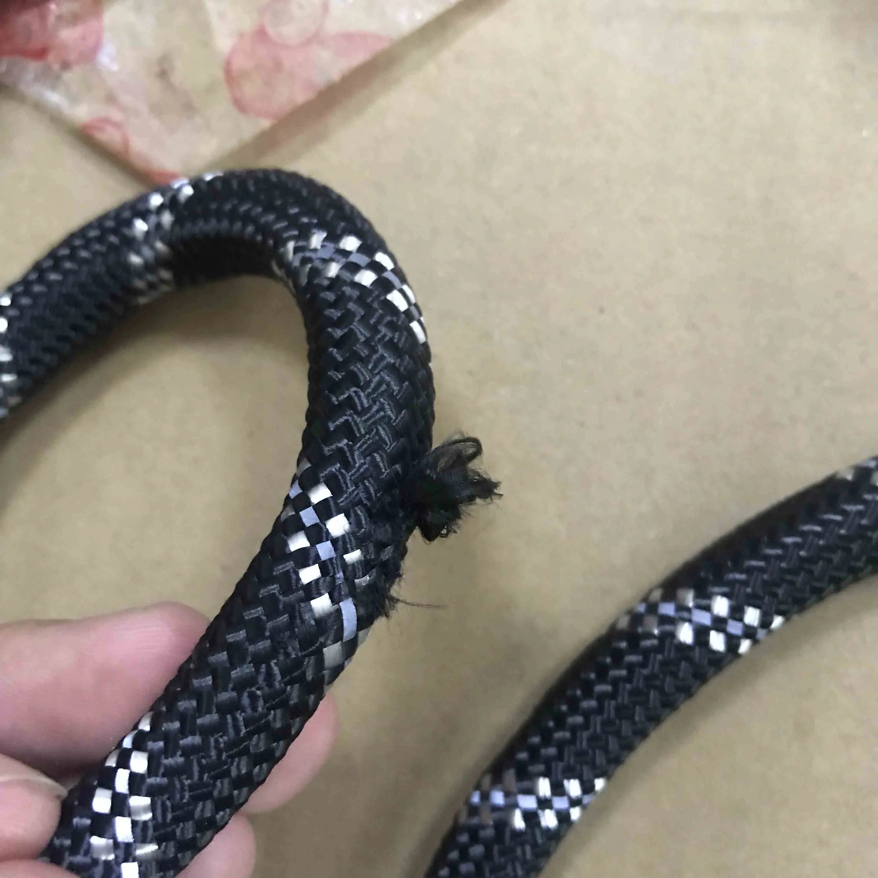 SmartPaws Leash