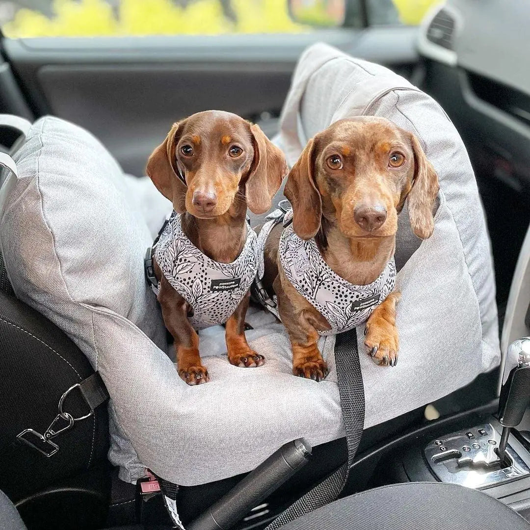 PawJourney Bed