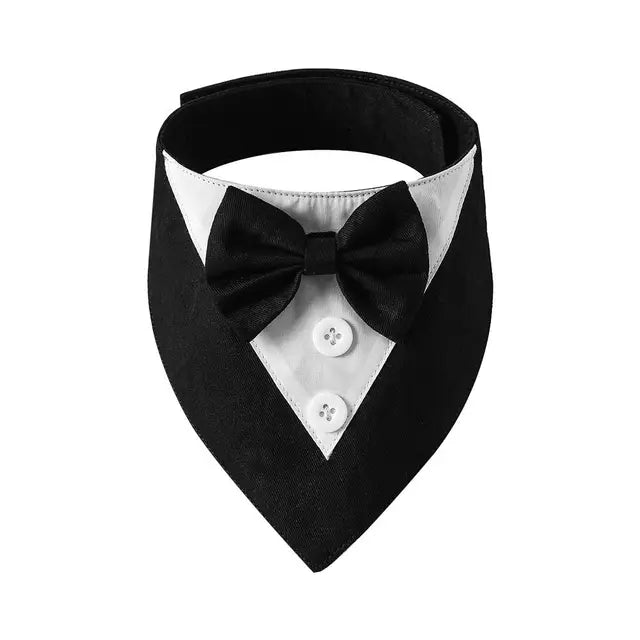 The Gentleman Pup Tie